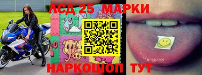 прущие грибы Будённовск