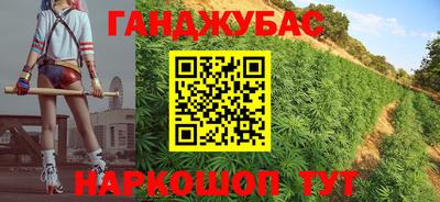 прущие грибы Будённовск