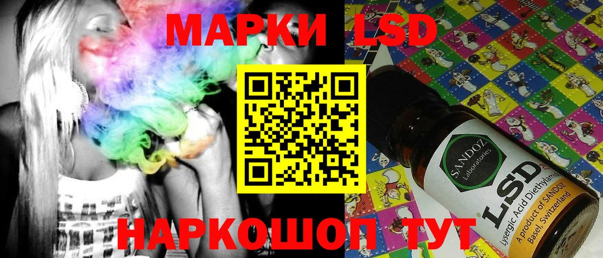 Галлюциногенные грибы Кондопога