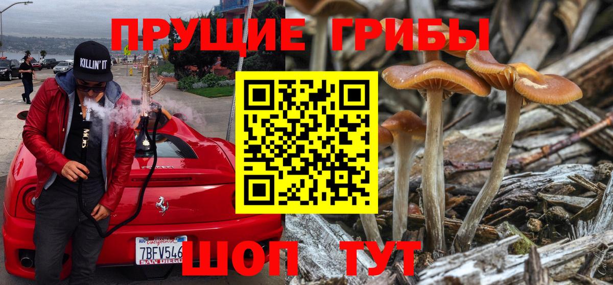 Галлюциногенные грибы прущие грибы  Псилоцибиновые грибы Cubensis  цена наркотик  Вход с VPN  Кондопога 